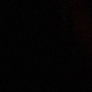 Meet your Posher, Shauna